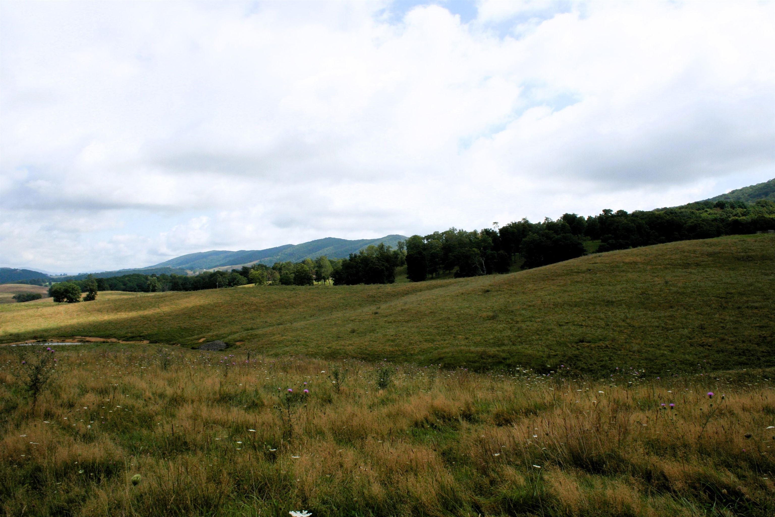 TBD MILL GAP RD, MONTEREY, Virginia 24465, ,Land,TBD MILL GAP RD,668196 MLS # 668196