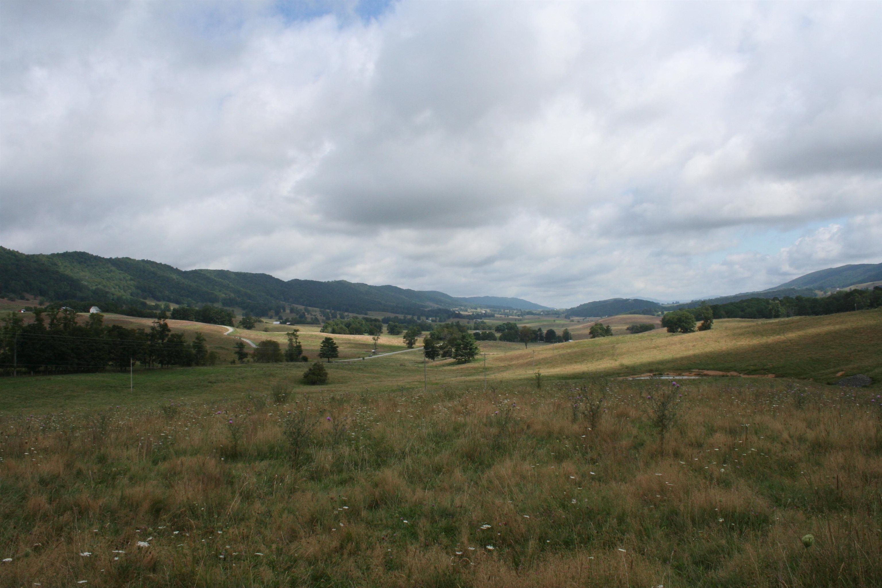 TBD MILL GAP RD, MONTEREY, Virginia 24465, ,Land,TBD MILL GAP RD,668196 MLS # 668196