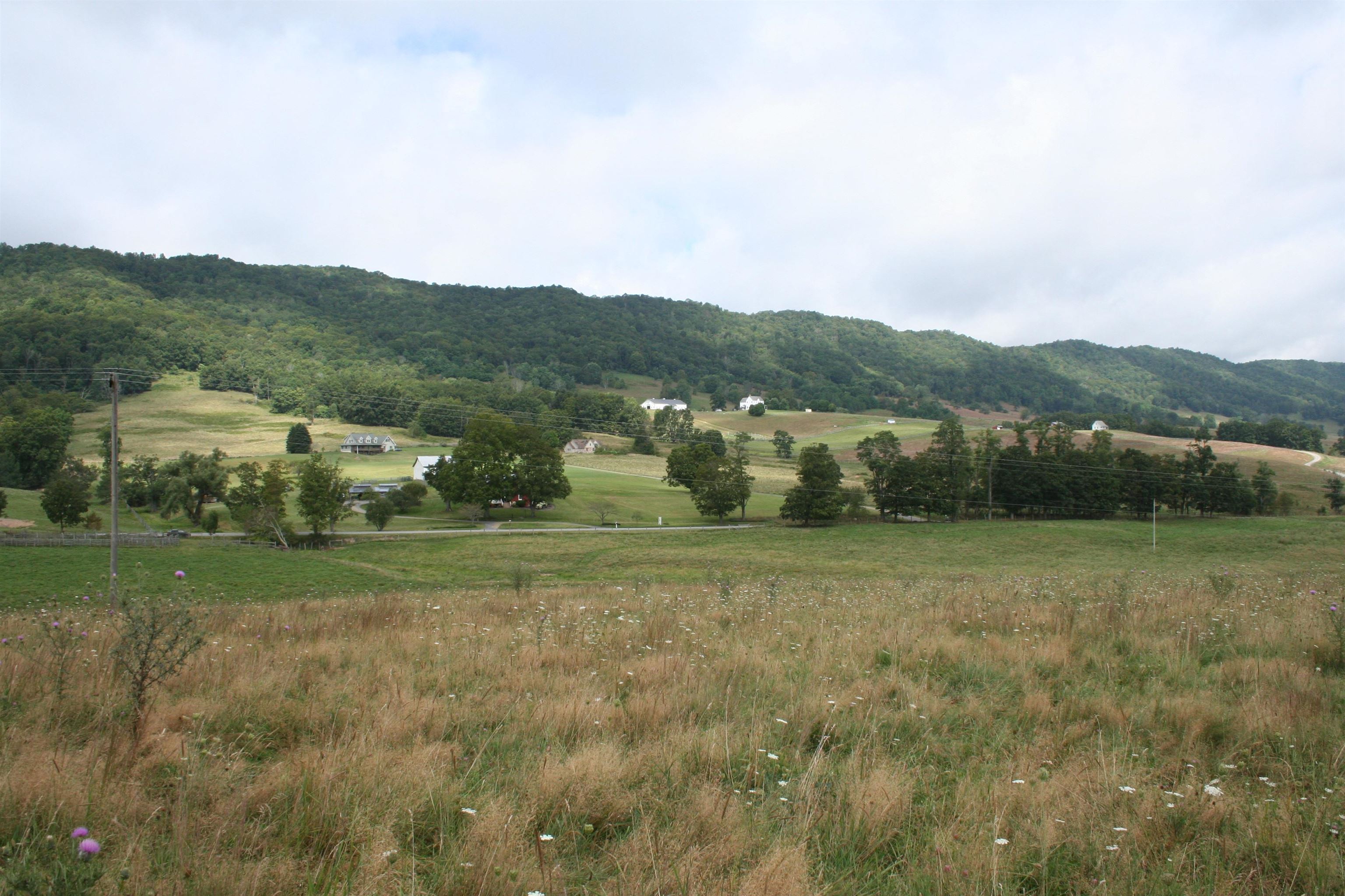 TBD MILL GAP RD, MONTEREY, Virginia 24465, ,Land,TBD MILL GAP RD,668196 MLS # 668196