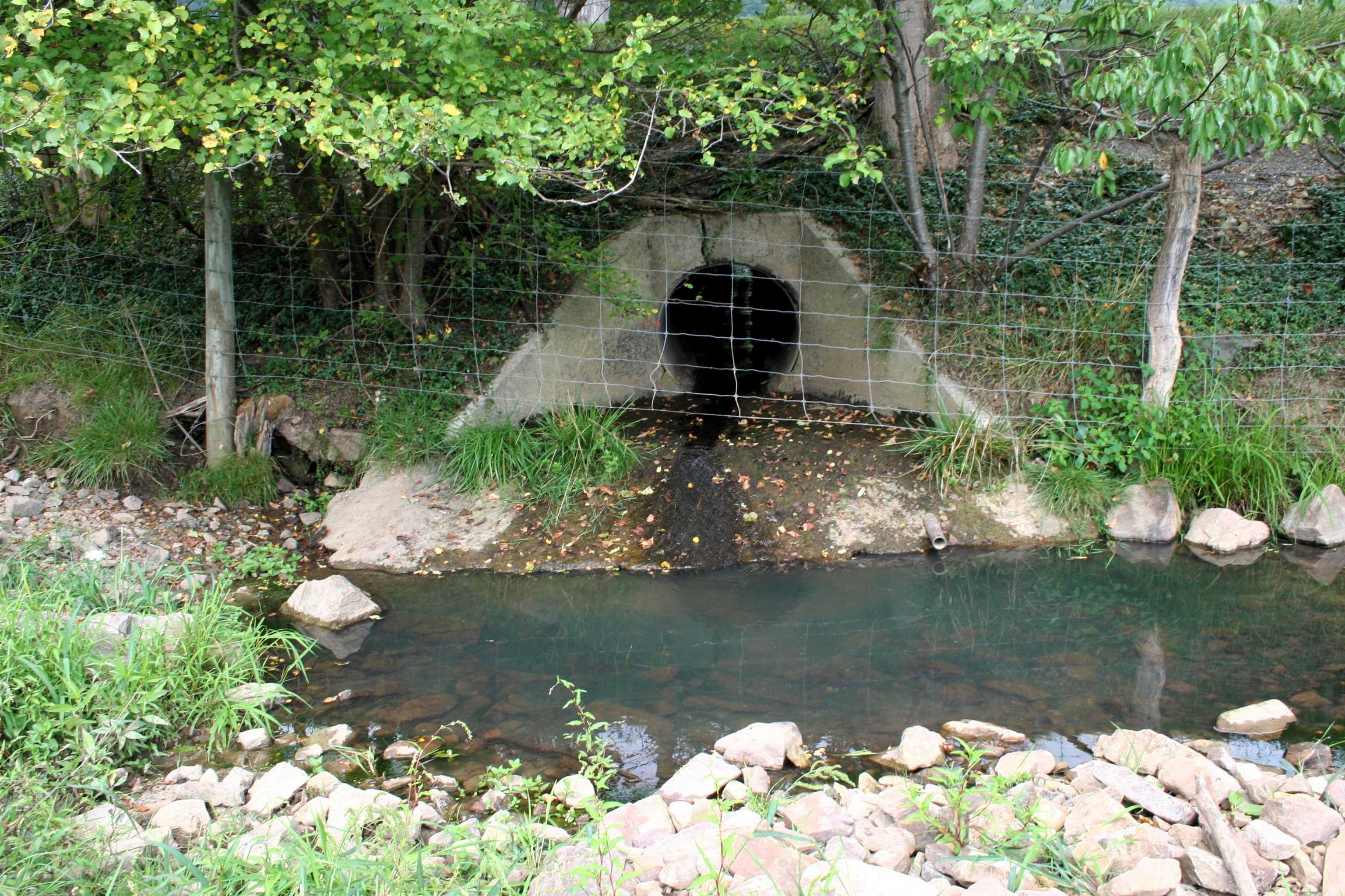 TBD MILL GAP RD, MONTEREY, Virginia 24465, ,Land,TBD MILL GAP RD,668196 MLS # 668196