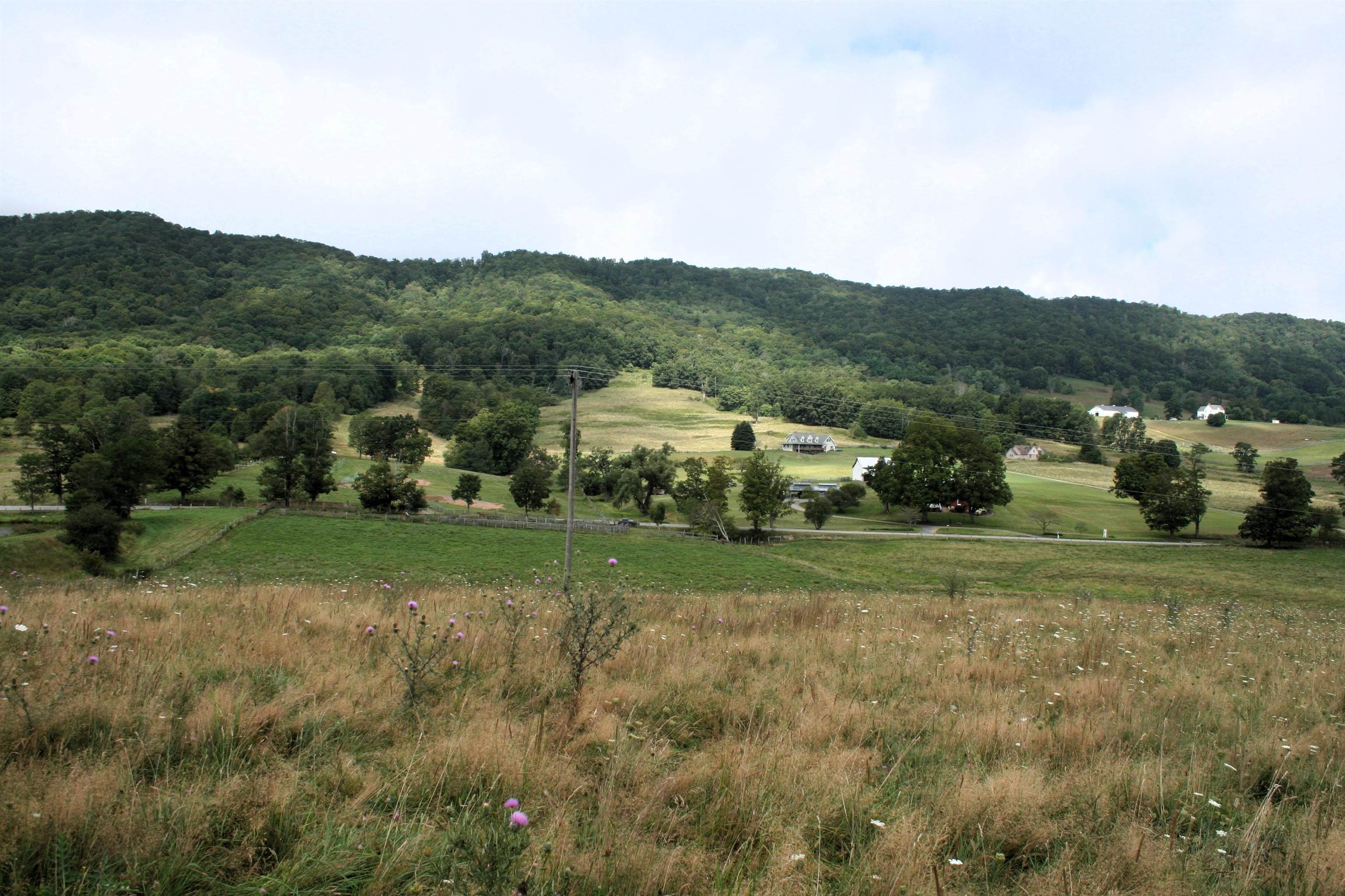 TBD MILL GAP RD, MONTEREY, Virginia 24465, ,Land,TBD MILL GAP RD,668196 MLS # 668196