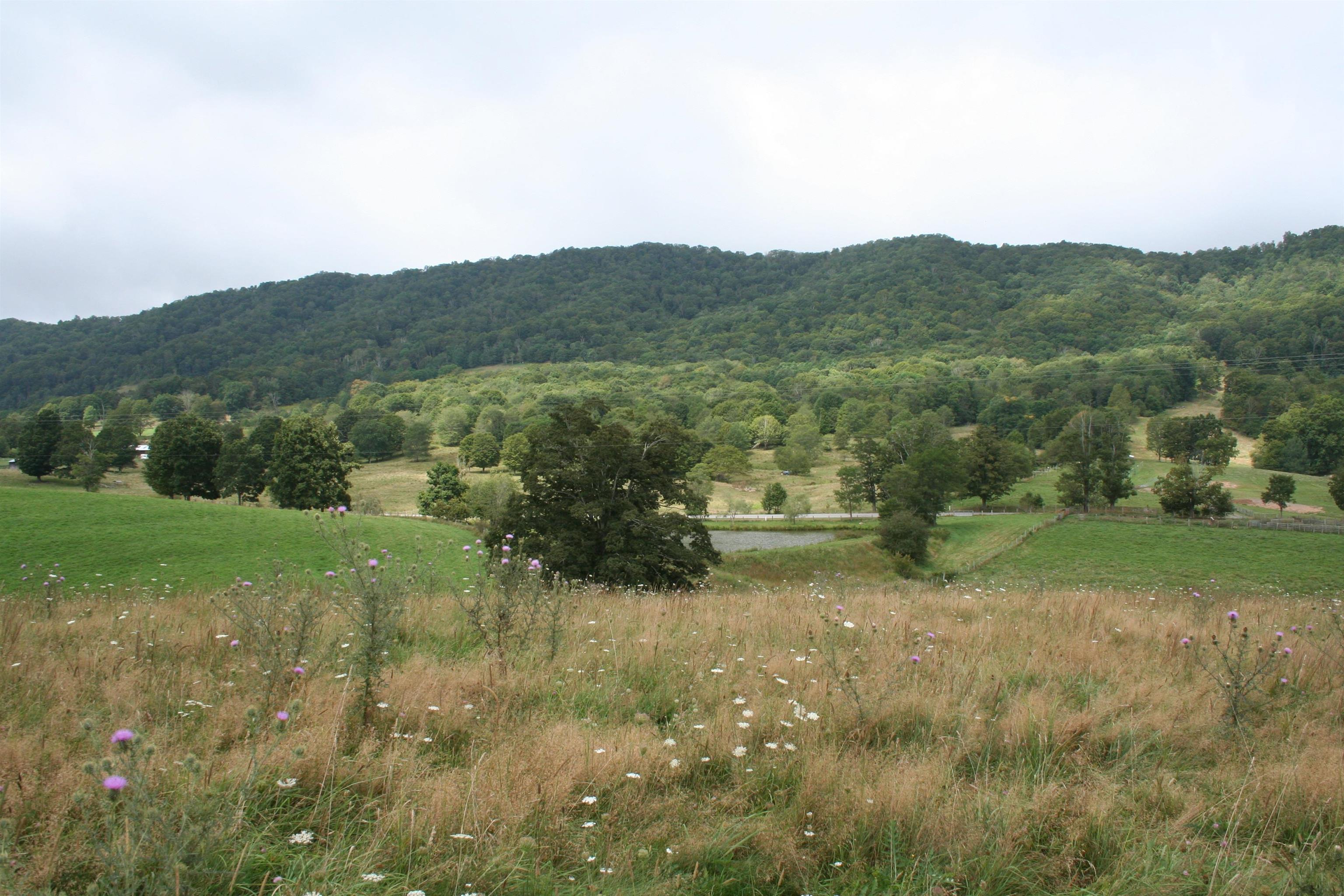 TBD MILL GAP RD, MONTEREY, Virginia 24465, ,Land,TBD MILL GAP RD,668196 MLS # 668196