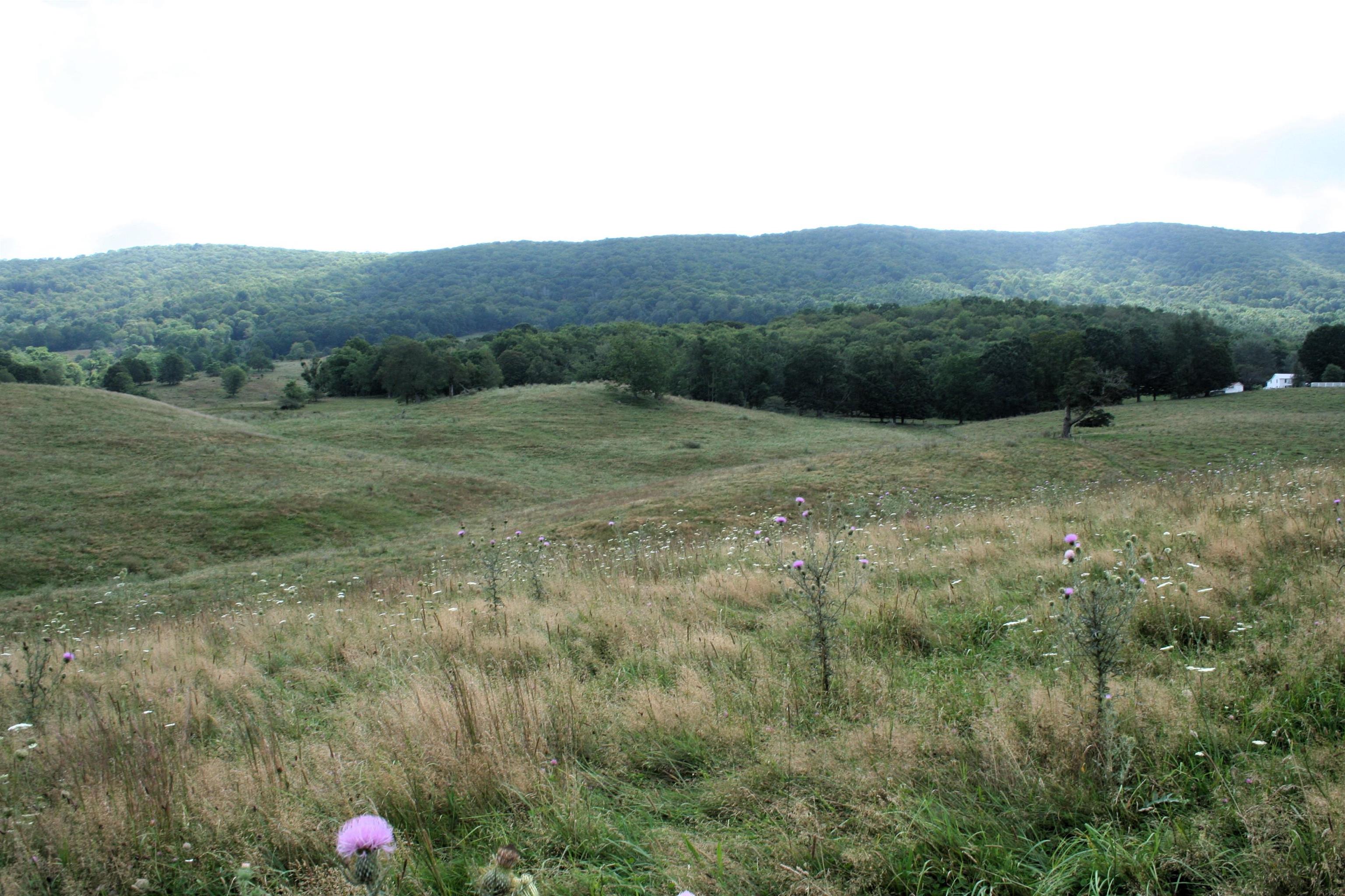 TBD MILL GAP RD, MONTEREY, Virginia 24465, ,Land,TBD MILL GAP RD,668196 MLS # 668196
