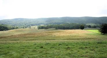 TBD MILL GAP RD, MONTEREY, Virginia 24465, ,Land,TBD MILL GAP RD,668196 MLS # 668196