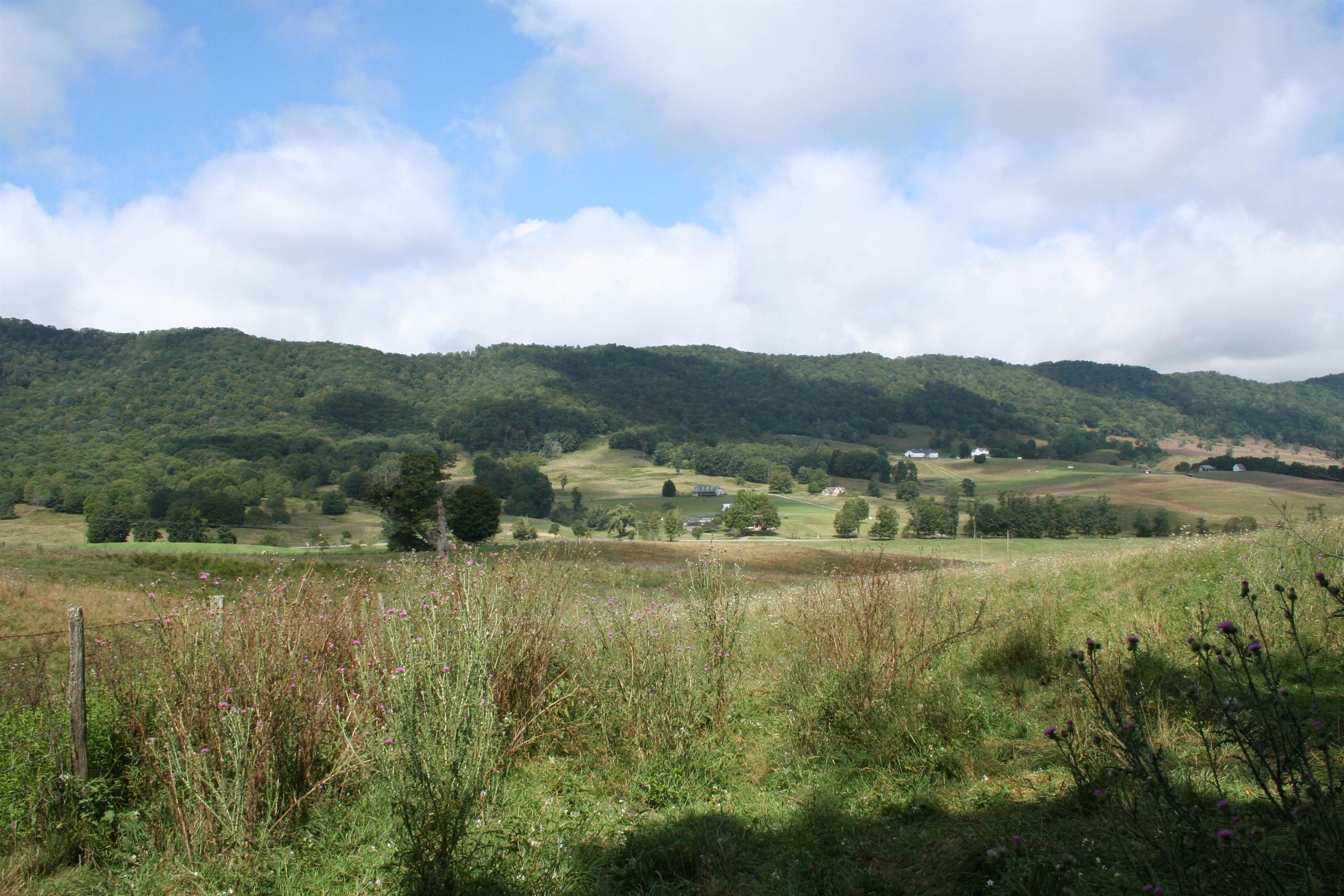 TBD MILL GAP RD, MONTEREY, Virginia 24465, ,Land,TBD MILL GAP RD,668198 MLS # 668198