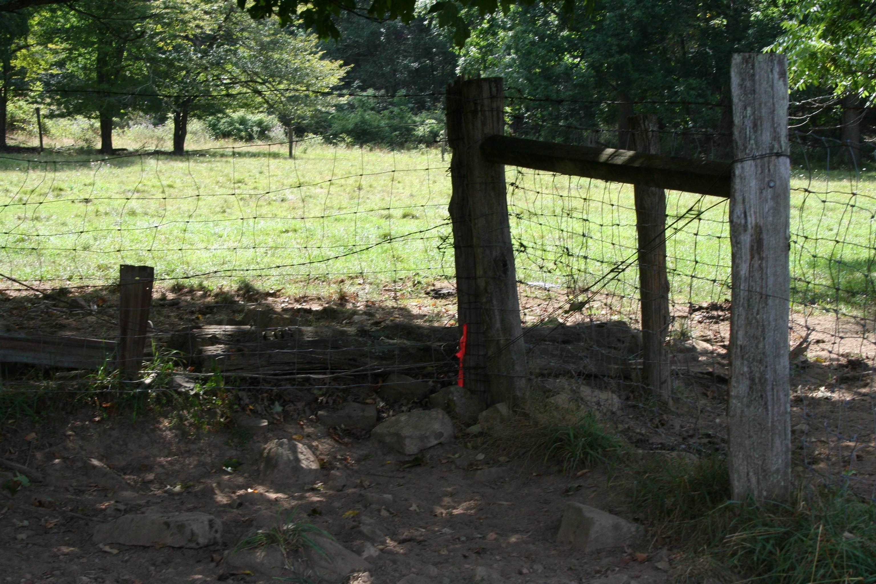 TBD MILL GAP RD, MONTEREY, Virginia 24465, ,Land,TBD MILL GAP RD,668198 MLS # 668198