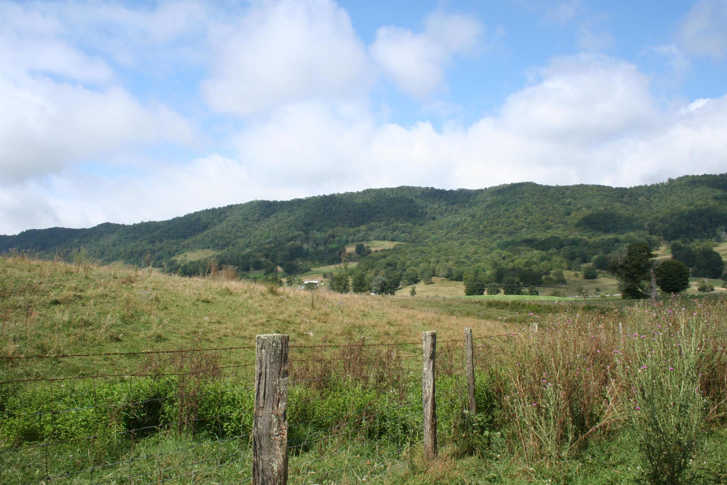 TBD MILL GAP RD, MONTEREY, Virginia 24465, ,Land,TBD MILL GAP RD,668198 MLS # 668198