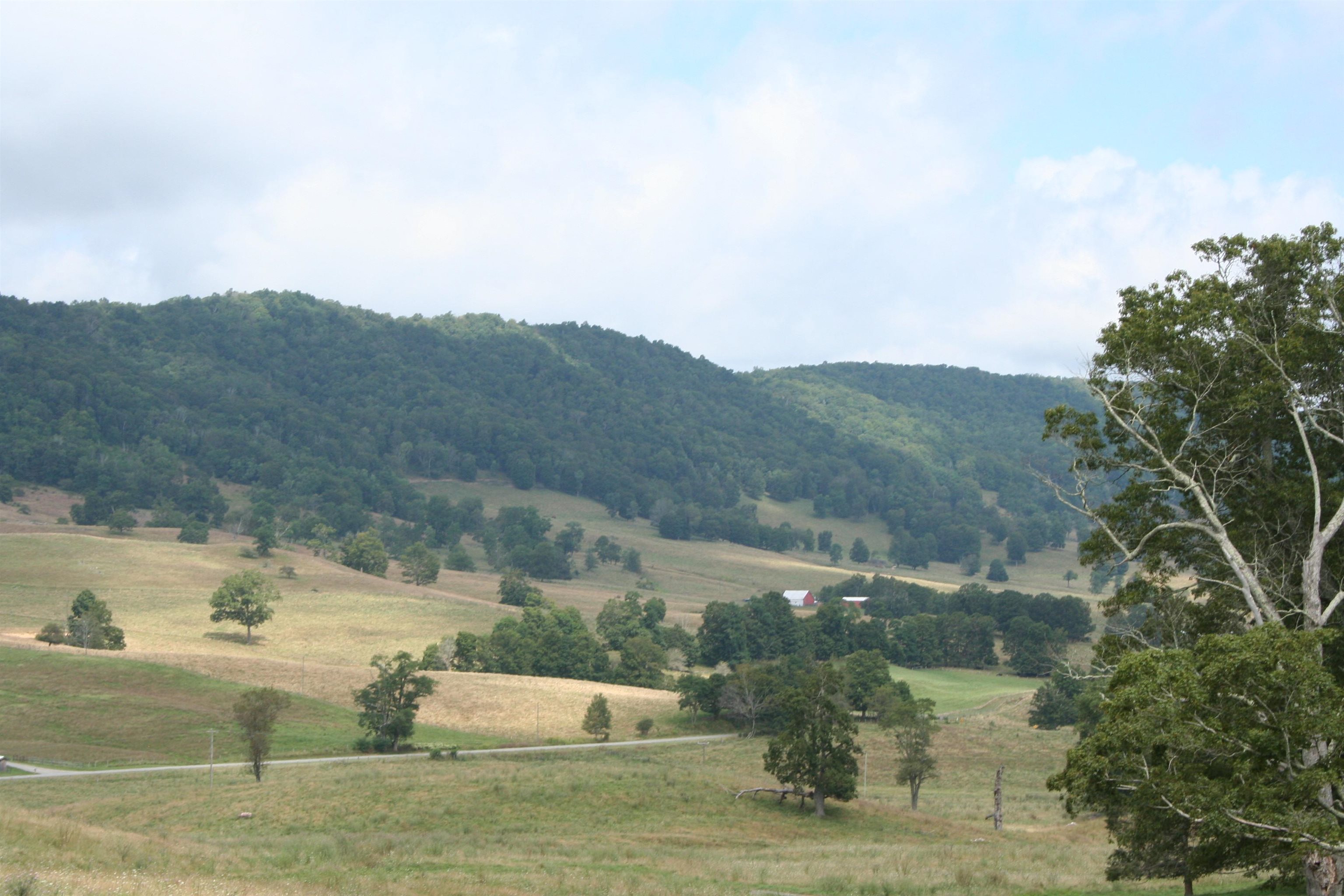 TBD MILL GAP RD, MONTEREY, Virginia 24465, ,Land,TBD MILL GAP RD,668198 MLS # 668198