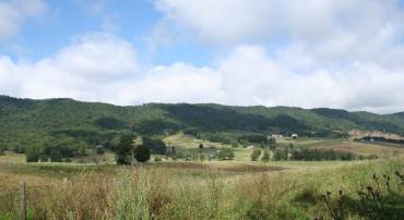 TBD MILL GAP RD, MONTEREY, Virginia 24465, ,Land,TBD MILL GAP RD,668198 MLS # 668198