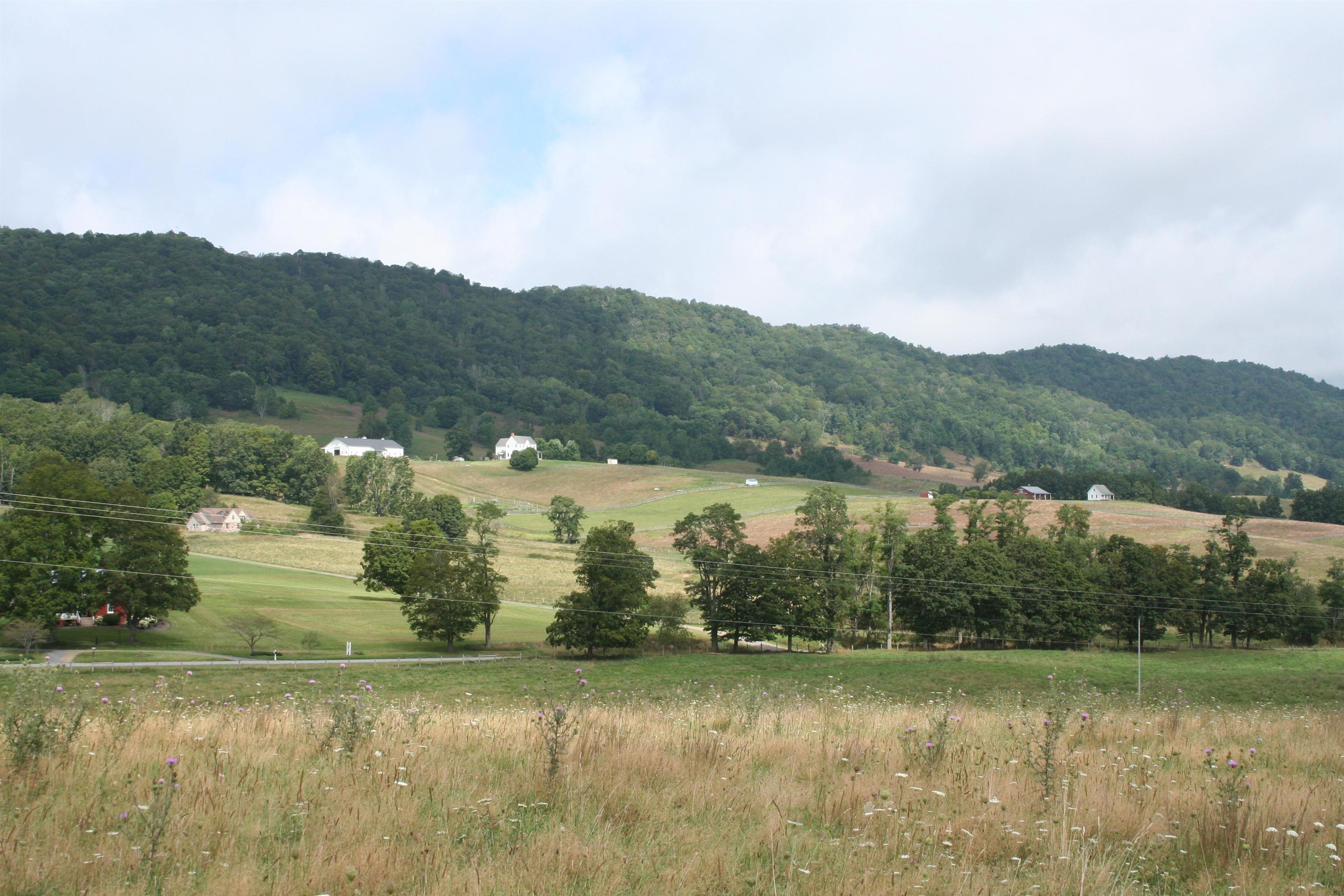 TBD MILL GAP RD, MONTEREY, Virginia 24465, ,Land,TBD MILL GAP RD,668199 MLS # 668199