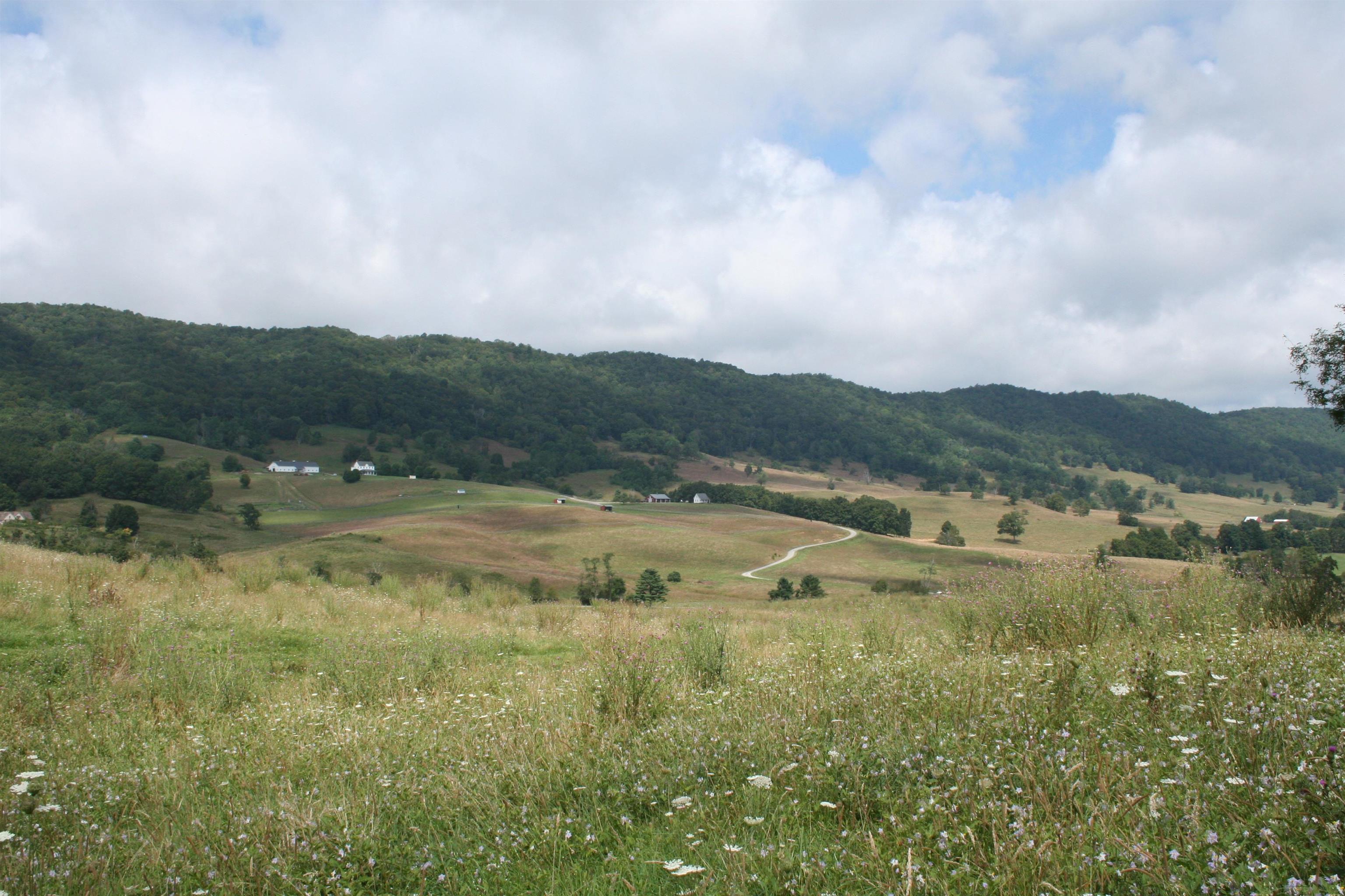 TBD MILL GAP RD, MONTEREY, Virginia 24465, ,Land,TBD MILL GAP RD,668199 MLS # 668199