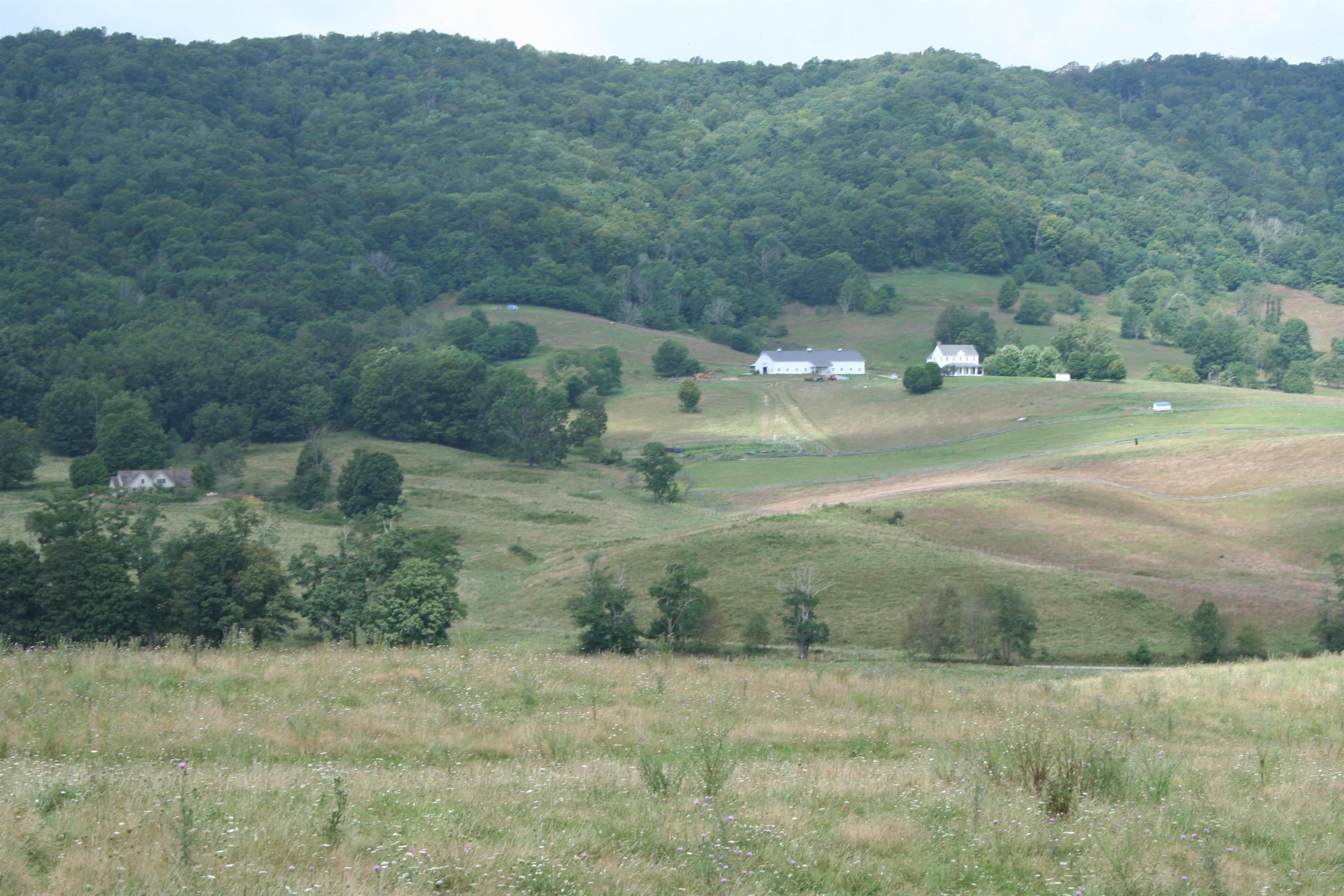TBD MILL GAP RD, MONTEREY, Virginia 24465, ,Land,TBD MILL GAP RD,668199 MLS # 668199