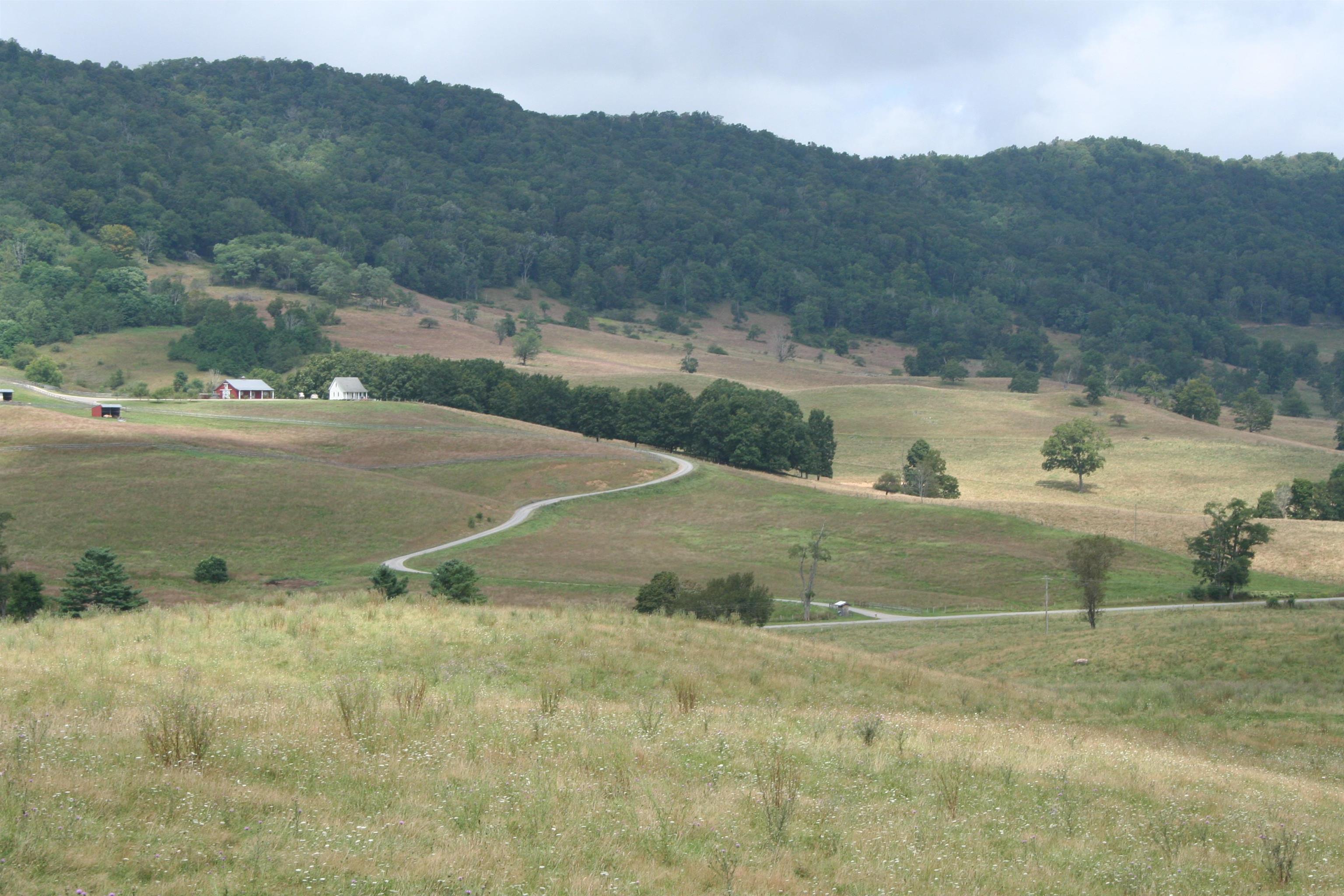 TBD MILL GAP RD, MONTEREY, Virginia 24465, ,Land,TBD MILL GAP RD,668199 MLS # 668199