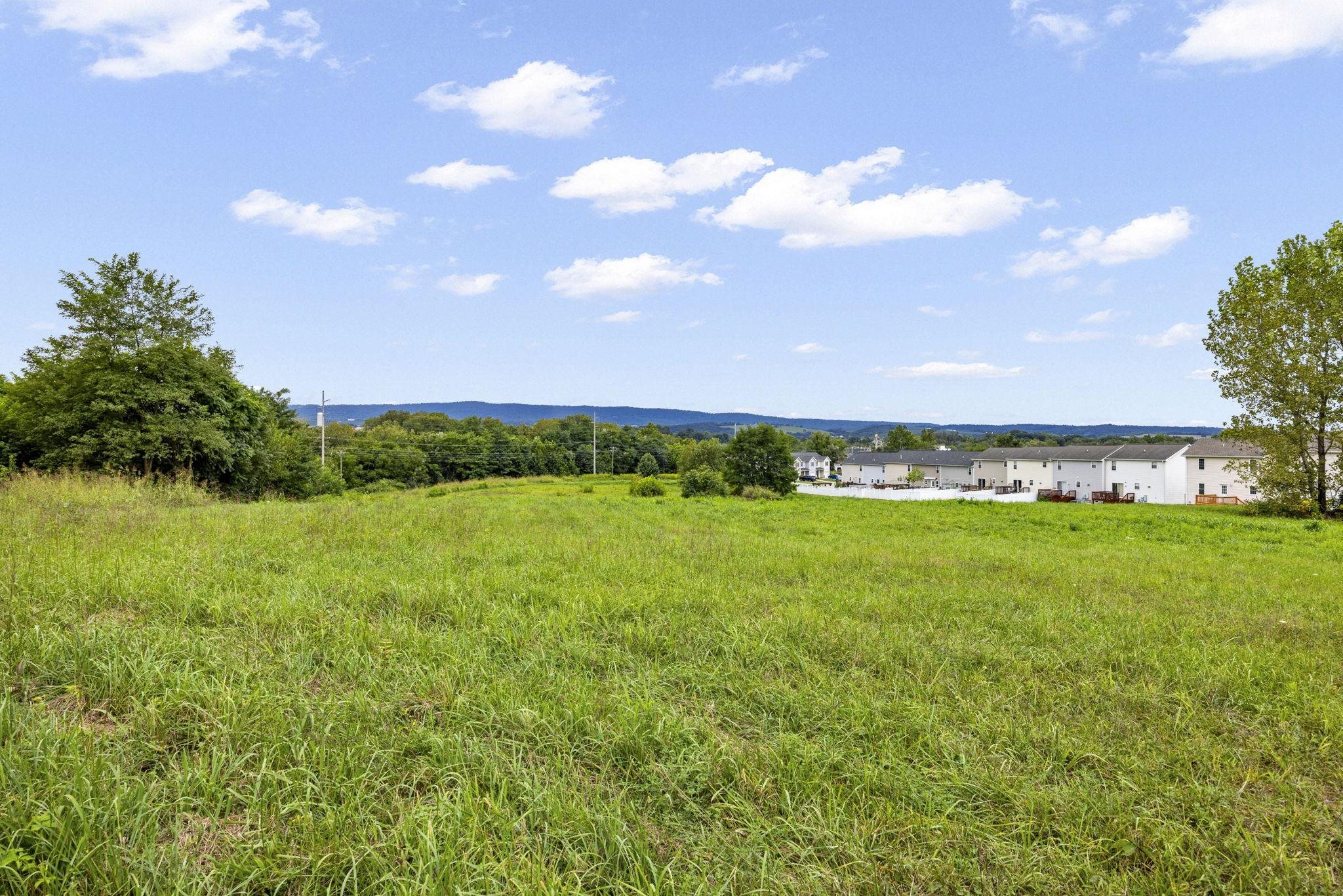 0 RED DELICIOUS DR, TIMBERVILLE, Virginia 22853, ,Commercial,0 RED DELICIOUS DR,668200 MLS # 668200