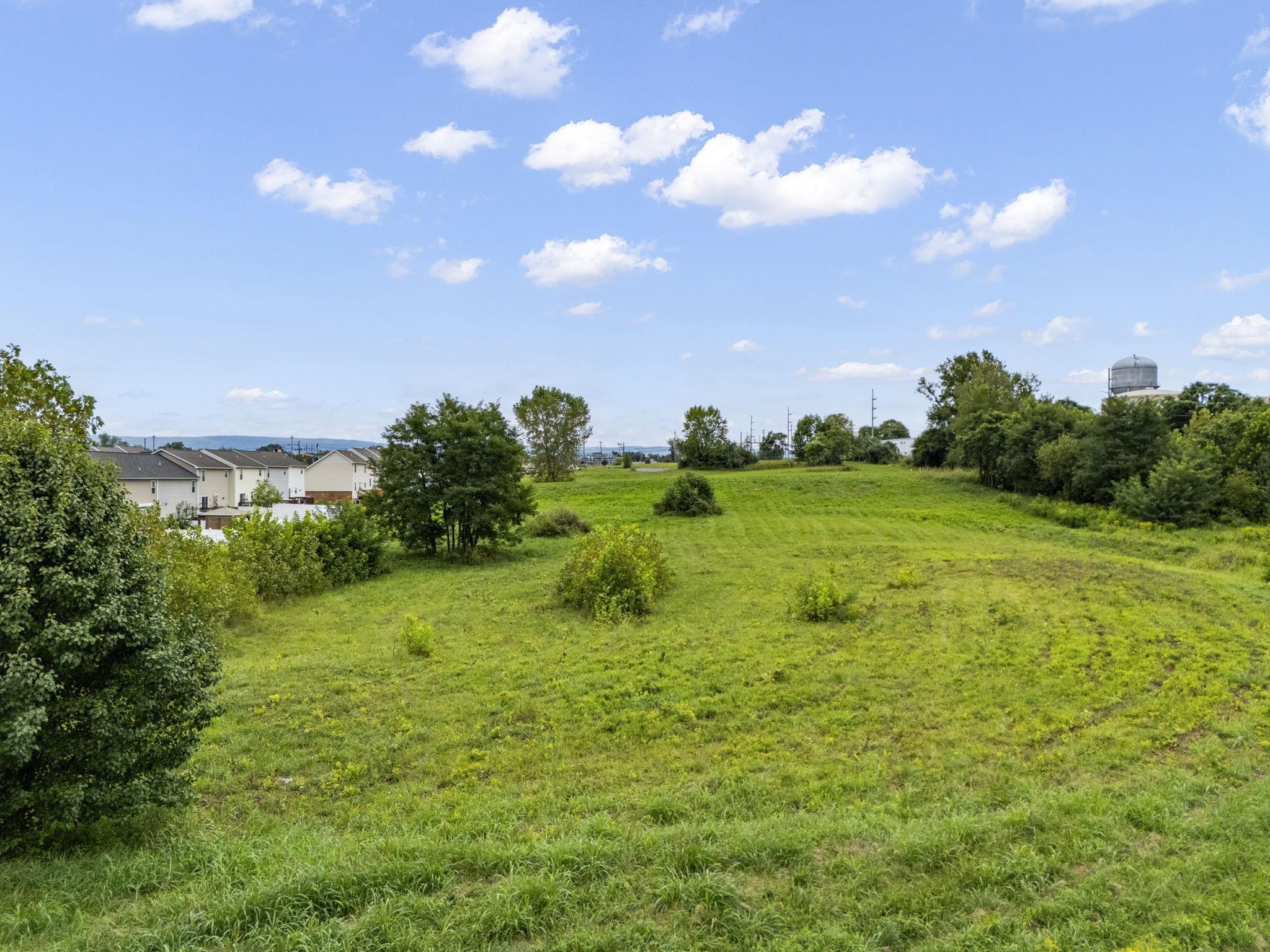 0 RED DELICIOUS DR, TIMBERVILLE, Virginia 22853, ,Commercial,0 RED DELICIOUS DR,668200 MLS # 668200