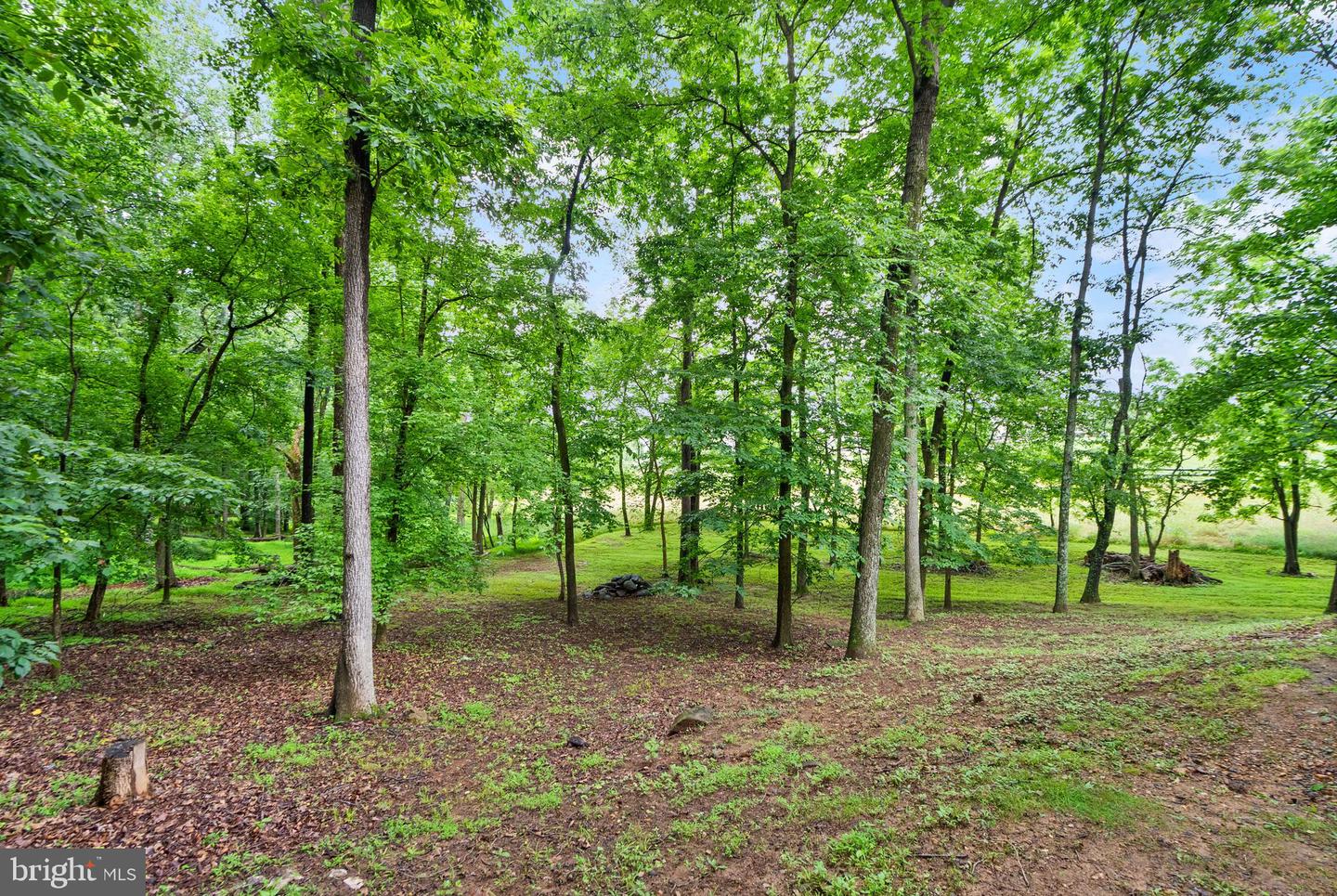17842 OAKMONT WAY, PURCELLVILLE, Virginia 20132, 5 Bedrooms Bedrooms, ,3 BathroomsBathrooms,Residential,For sale,17842 OAKMONT WAY,VALO2104842 MLS # VALO2104842