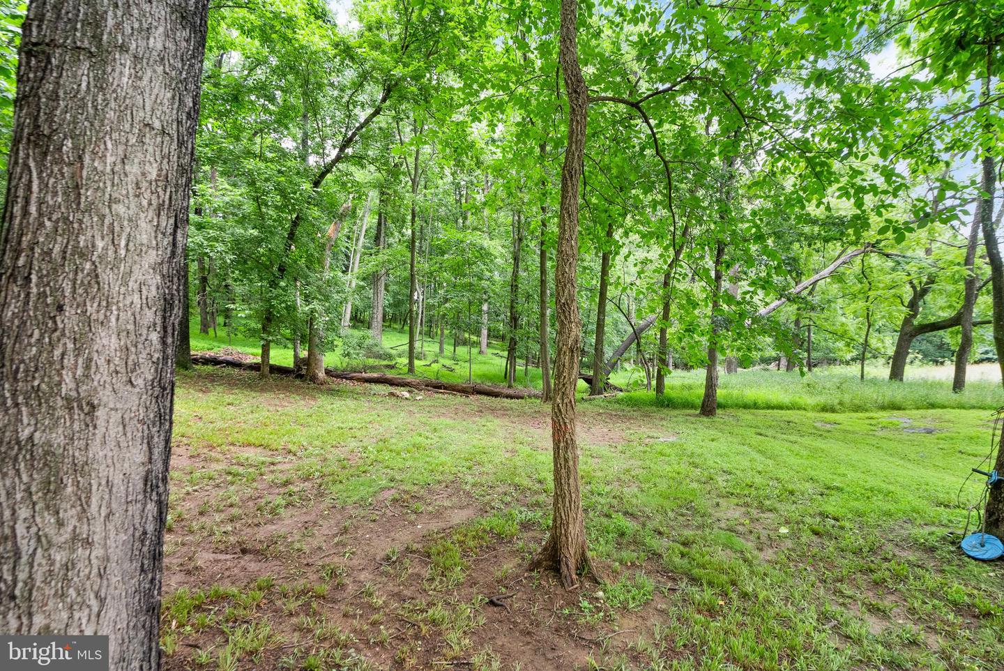 17842 OAKMONT WAY, PURCELLVILLE, Virginia 20132, 5 Bedrooms Bedrooms, ,3 BathroomsBathrooms,Residential,For sale,17842 OAKMONT WAY,VALO2104842 MLS # VALO2104842
