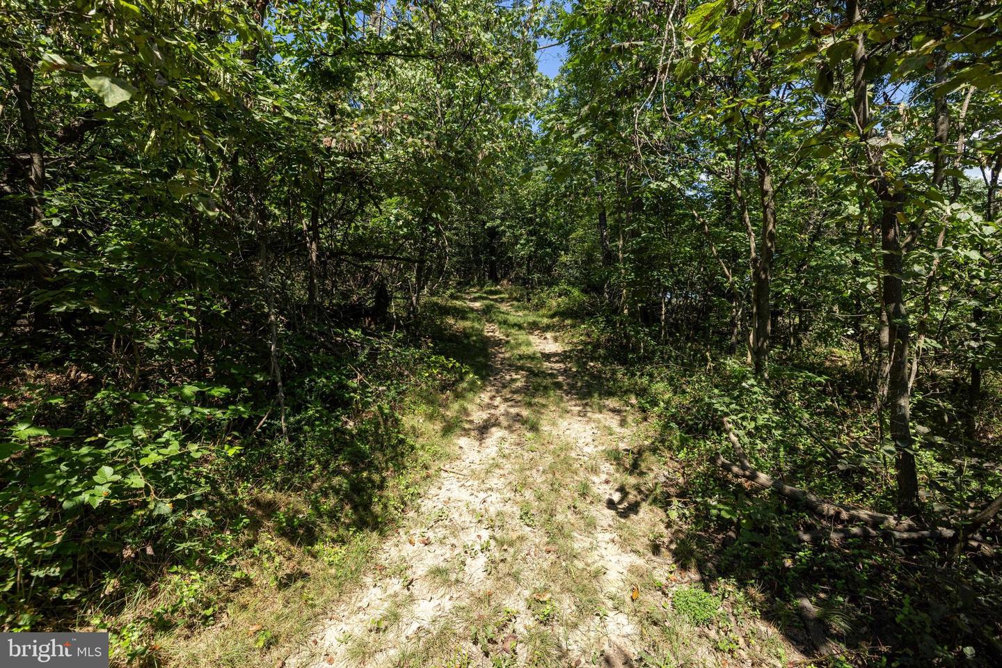 0 SUNRISE DR, BROADWAY, Virginia 22815, ,Land,For sale,0 SUNRISE DR,VARO2002516 MLS # VARO2002516