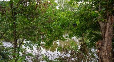 0 (LOT 24) BURMA RD, FRONT ROYAL, Virginia 22630, ,Land,For sale,0 (LOT 24) BURMA RD,VAWR2012098 MLS # VAWR2012098