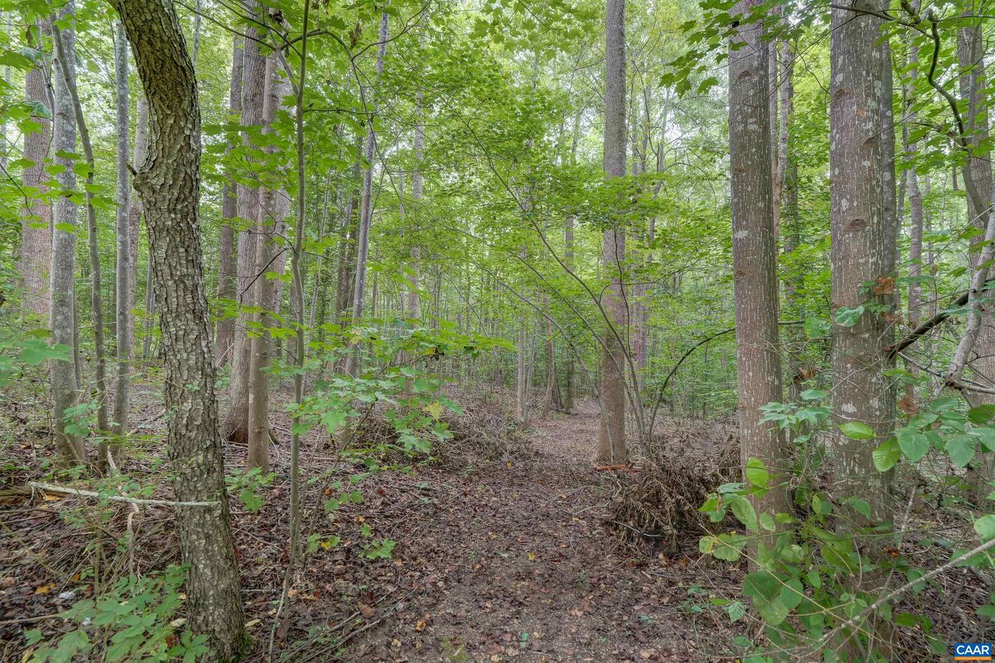 2019 BYBEE RD, LOUISA, Virginia 23093, 3 Bedrooms Bedrooms, ,2 BathroomsBathrooms,Residential,For sale,2019 BYBEE RD,668082 MLS # 668082