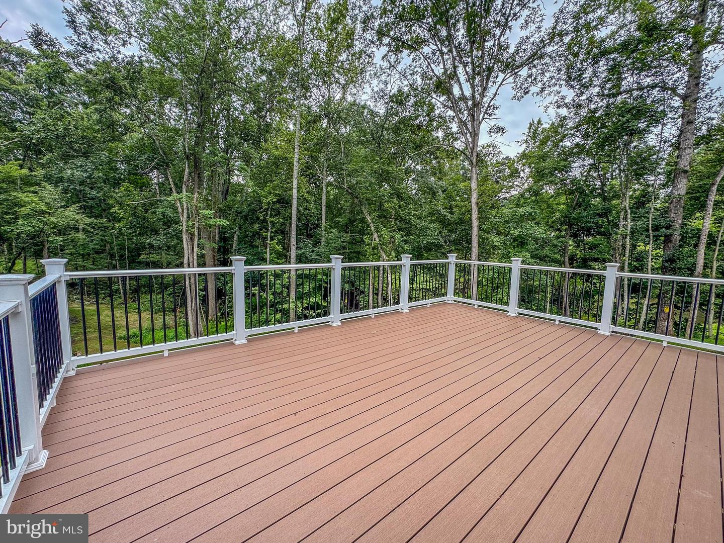 10643 SETTLE SCHOOL RD, RIXEYVILLE, Virginia 22737, 3 Bedrooms Bedrooms, ,2 BathroomsBathrooms,Residential,For sale,10643 SETTLE SCHOOL RD,VACU2011406 MLS # VACU2011406