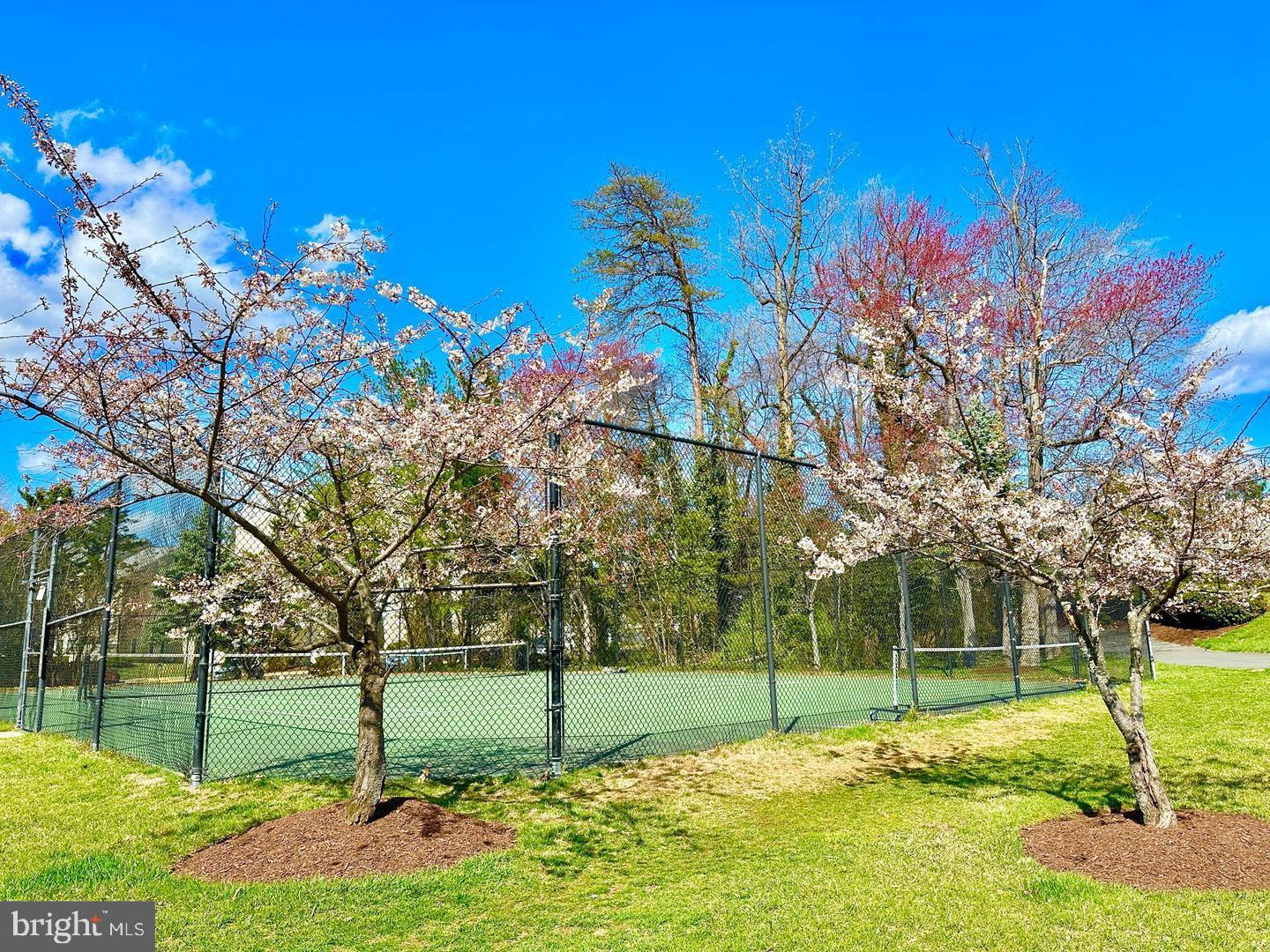 4330-L CANNON RIDGE CT #31, FAIRFAX, Virginia 22033, 2 Bedrooms Bedrooms, 4 Rooms Rooms,2 BathroomsBathrooms,Residential,For sale,4330-L CANNON RIDGE CT #31,VAFX2262268 MLS # VAFX2262268 4330-L CANNON RIDGE CT #31, FAIRFAX, Virginia 22033, 2 Bedrooms Bedrooms, 4 Rooms Rooms,2 BathroomsBathrooms,Residential,For sale,4330-L CANNON RIDGE CT #31,VAFX2262268 MLS # VAFX2262268