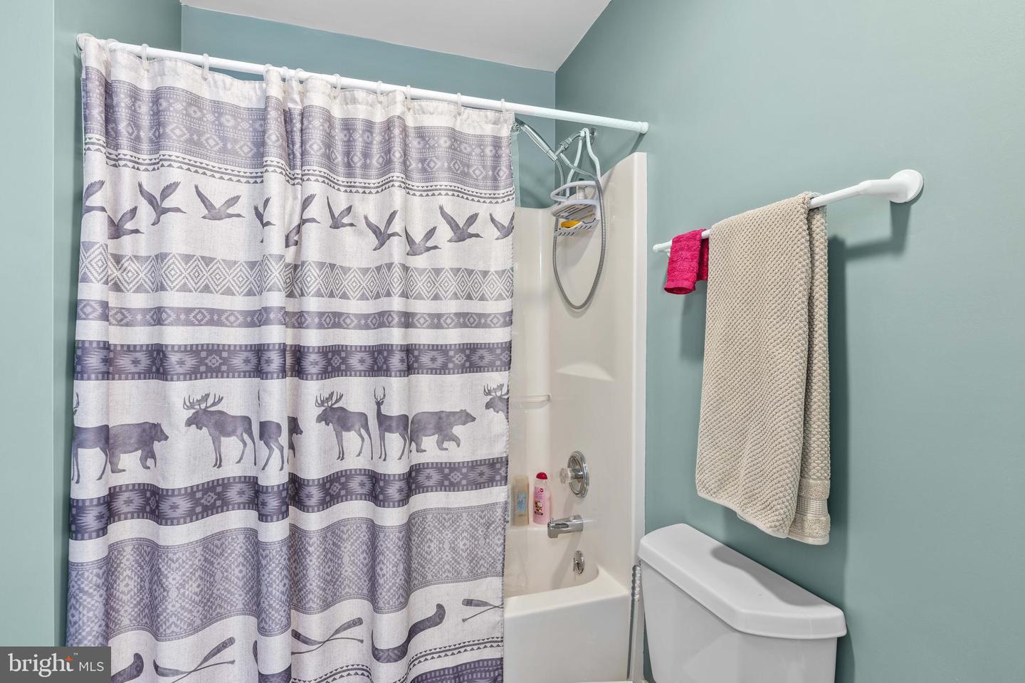 258 STERLING LAMM DR, RUCKERSVILLE, Virginia 22968, 3 Bedrooms Bedrooms, 8 Rooms Rooms,2 BathroomsBathrooms,Residential,For sale,258 STERLING LAMM DR,VAGR2000752 MLS # VAGR2000752
