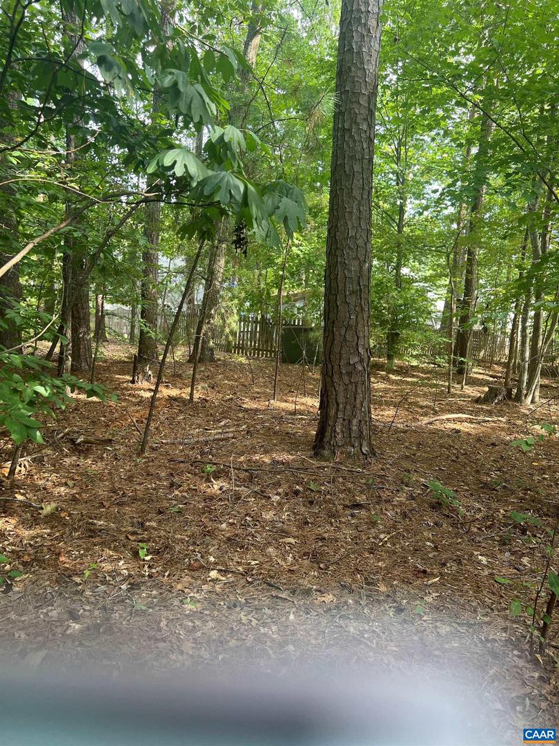 20 TANGLEWOOD RD, PALMYRA, Virginia 22963, 3 Bedrooms Bedrooms, ,2 BathroomsBathrooms,Residential,For sale,20 TANGLEWOOD RD,668178 MLS # 668178