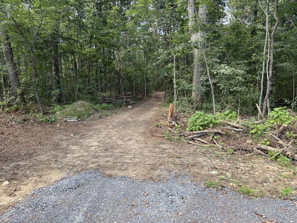 TBD ROCKINGHAM PIKE, ELKTON, Virginia 22827, ,Land,TBD ROCKINGHAM PIKE,668234 MLS # 668234