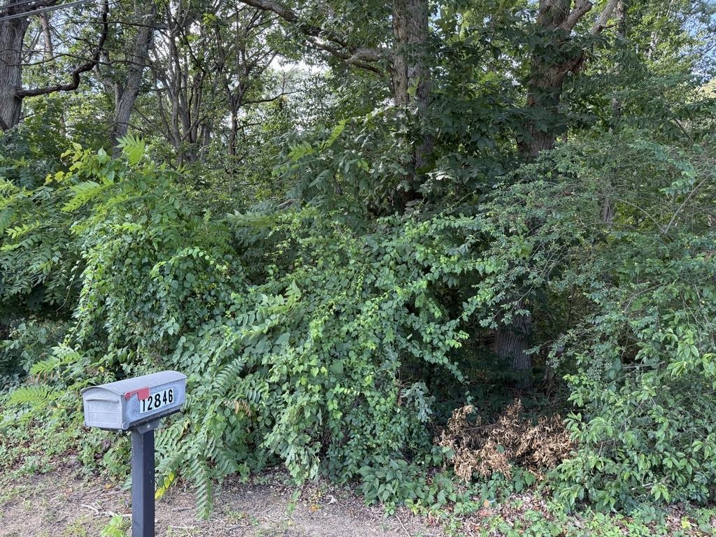 TBD ROCKINGHAM PIKE, ELKTON, Virginia 22827, ,Land,TBD ROCKINGHAM PIKE,668234 MLS # 668234