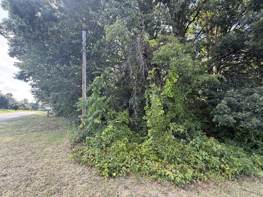 TBD ROCKINGHAM PIKE, ELKTON, Virginia 22827, ,Land,TBD ROCKINGHAM PIKE,668234 MLS # 668234