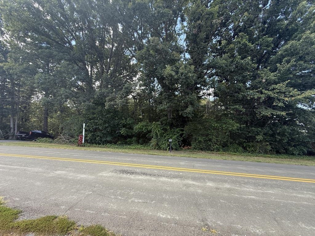 TBD ROCKINGHAM PIKE, ELKTON, Virginia 22827, ,Land,TBD ROCKINGHAM PIKE,668234 MLS # 668234