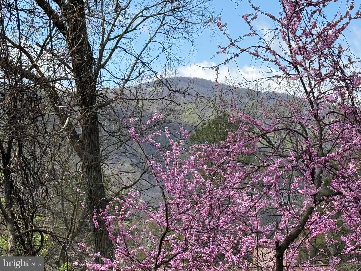 LOT 13 JONATHAN RD, LINDEN, Virginia 22642, ,Land,For sale,LOT 13 JONATHAN RD,VAWR2010782 MLS # VAWR2010782