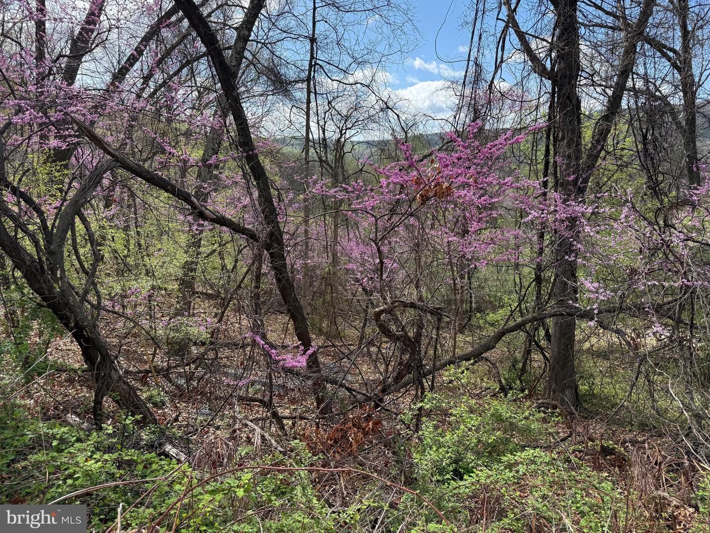 LOT 13 JONATHAN RD, LINDEN, Virginia 22642, ,Land,For sale,LOT 13 JONATHAN RD,VAWR2010782 MLS # VAWR2010782