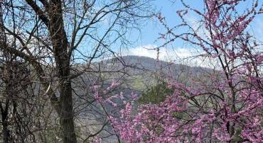 LOT 13 JONATHAN RD, LINDEN, Virginia 22642, ,Land,For sale,LOT 13 JONATHAN RD,VAWR2010782 MLS # VAWR2010782