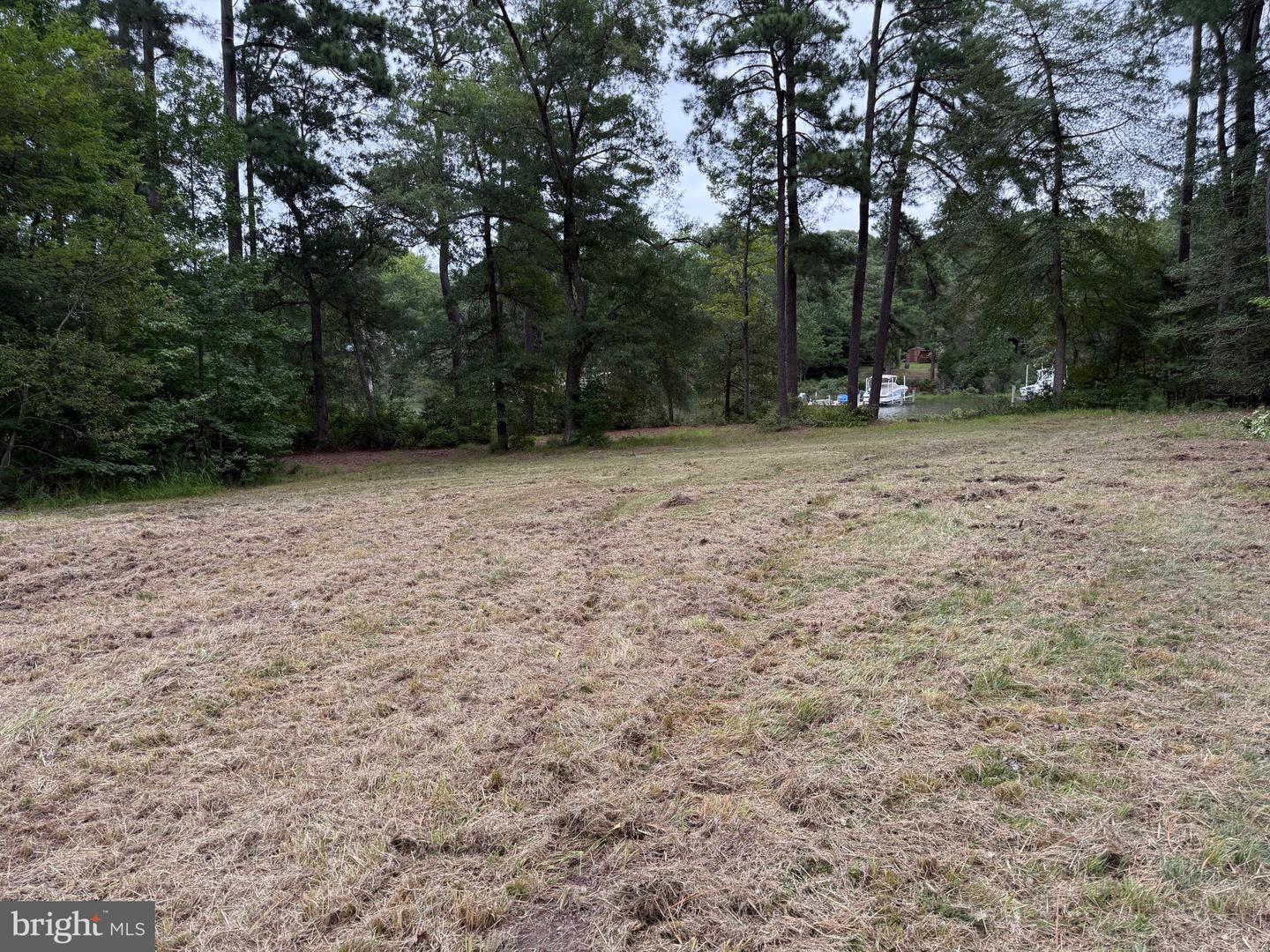 LOT 14 MALLARD CT, MONTROSS, Virginia 22520, ,Land,For sale,LOT 14 MALLARD CT,VAWE2009608 MLS # VAWE2009608
