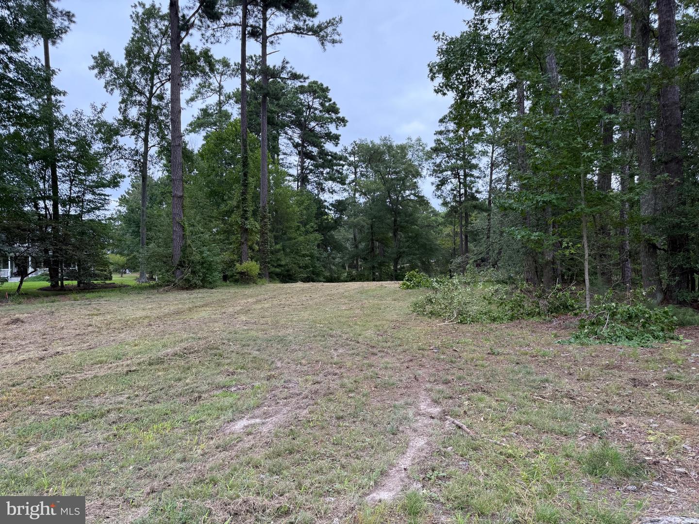 LOT 14 MALLARD CT, MONTROSS, Virginia 22520, ,Land,For sale,LOT 14 MALLARD CT,VAWE2009608 MLS # VAWE2009608