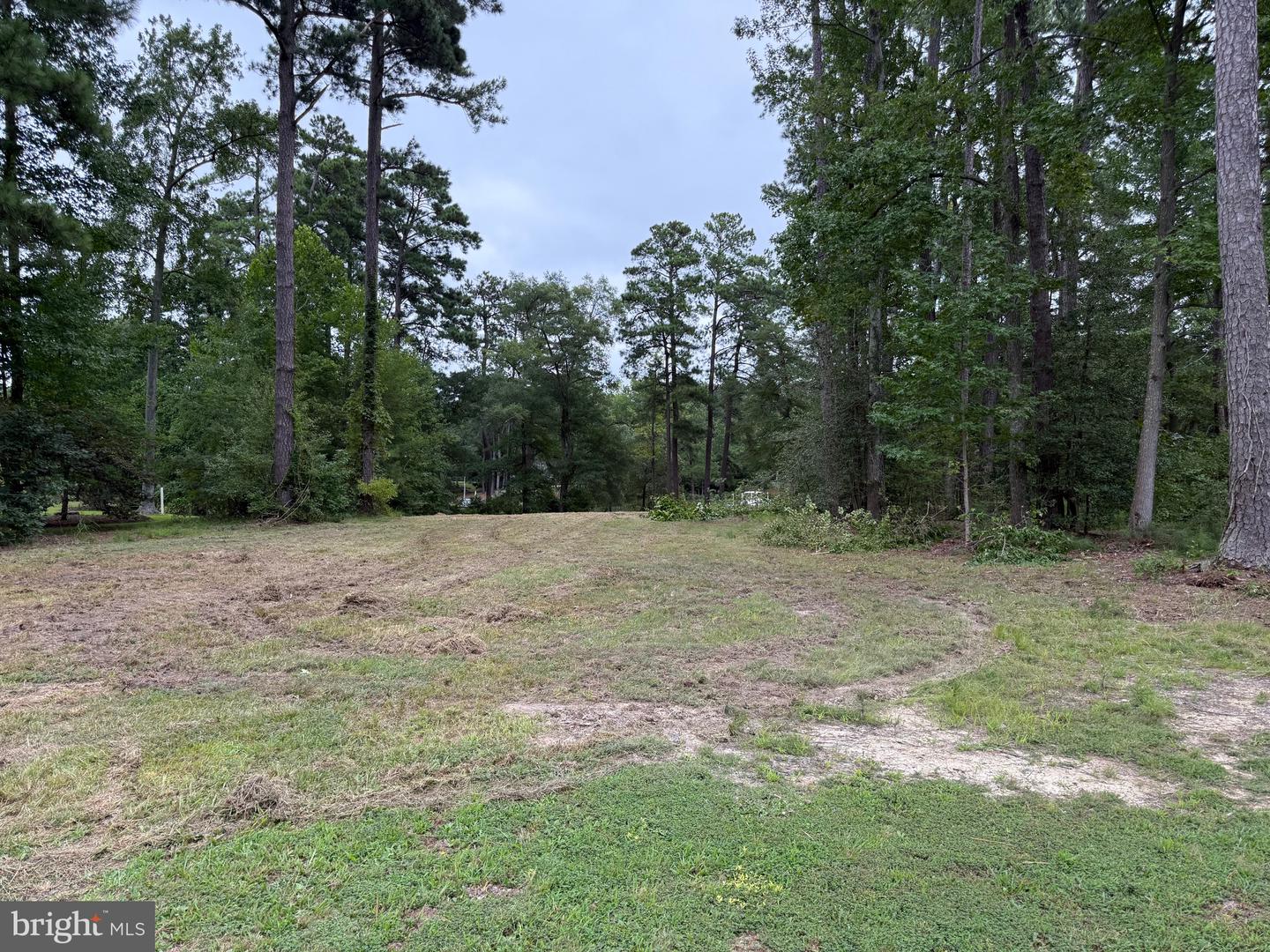 LOT 14 MALLARD CT, MONTROSS, Virginia 22520, ,Land,For sale,LOT 14 MALLARD CT,VAWE2009608 MLS # VAWE2009608