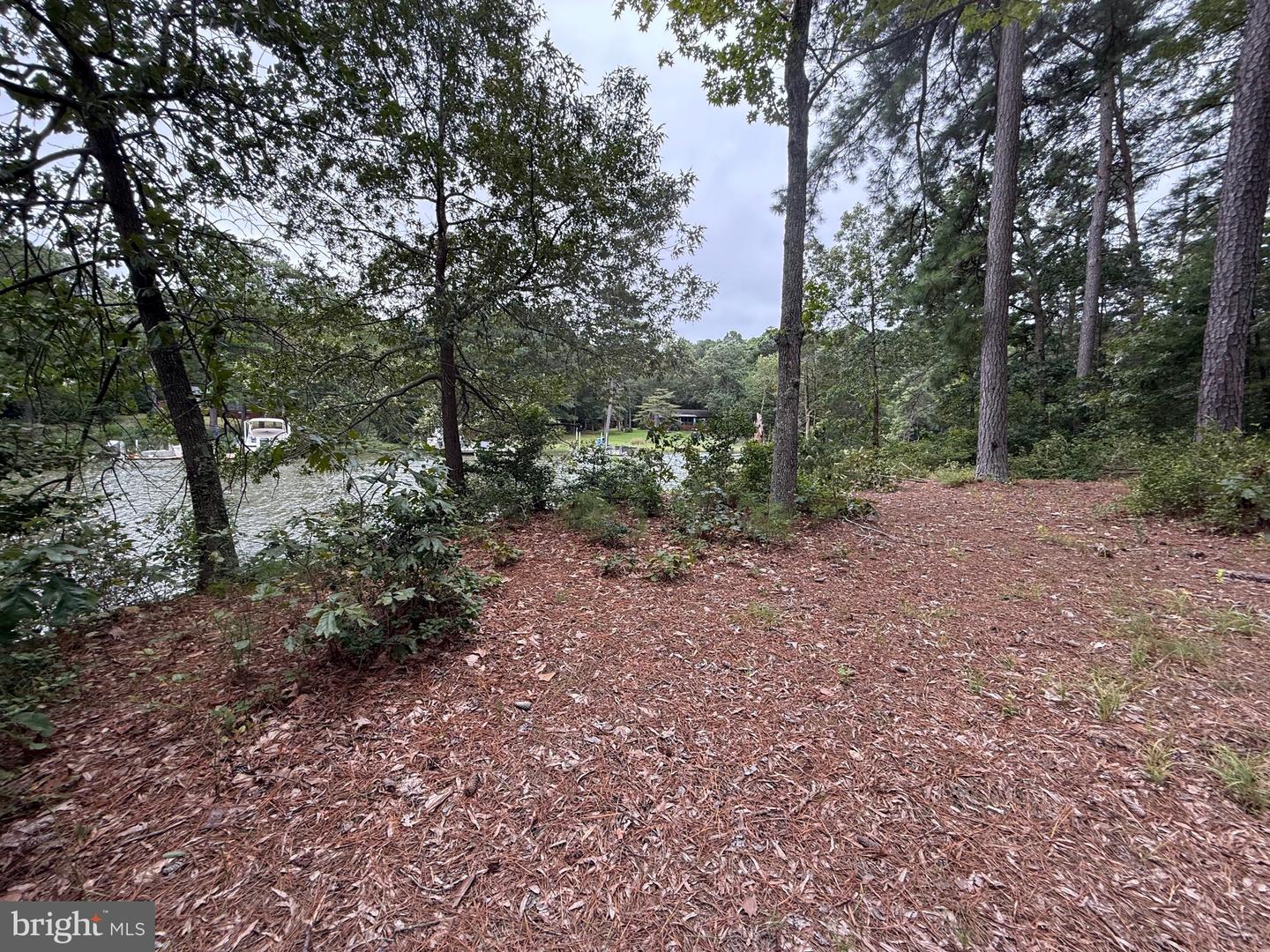 LOT 14 MALLARD CT, MONTROSS, Virginia 22520, ,Land,For sale,LOT 14 MALLARD CT,VAWE2009608 MLS # VAWE2009608