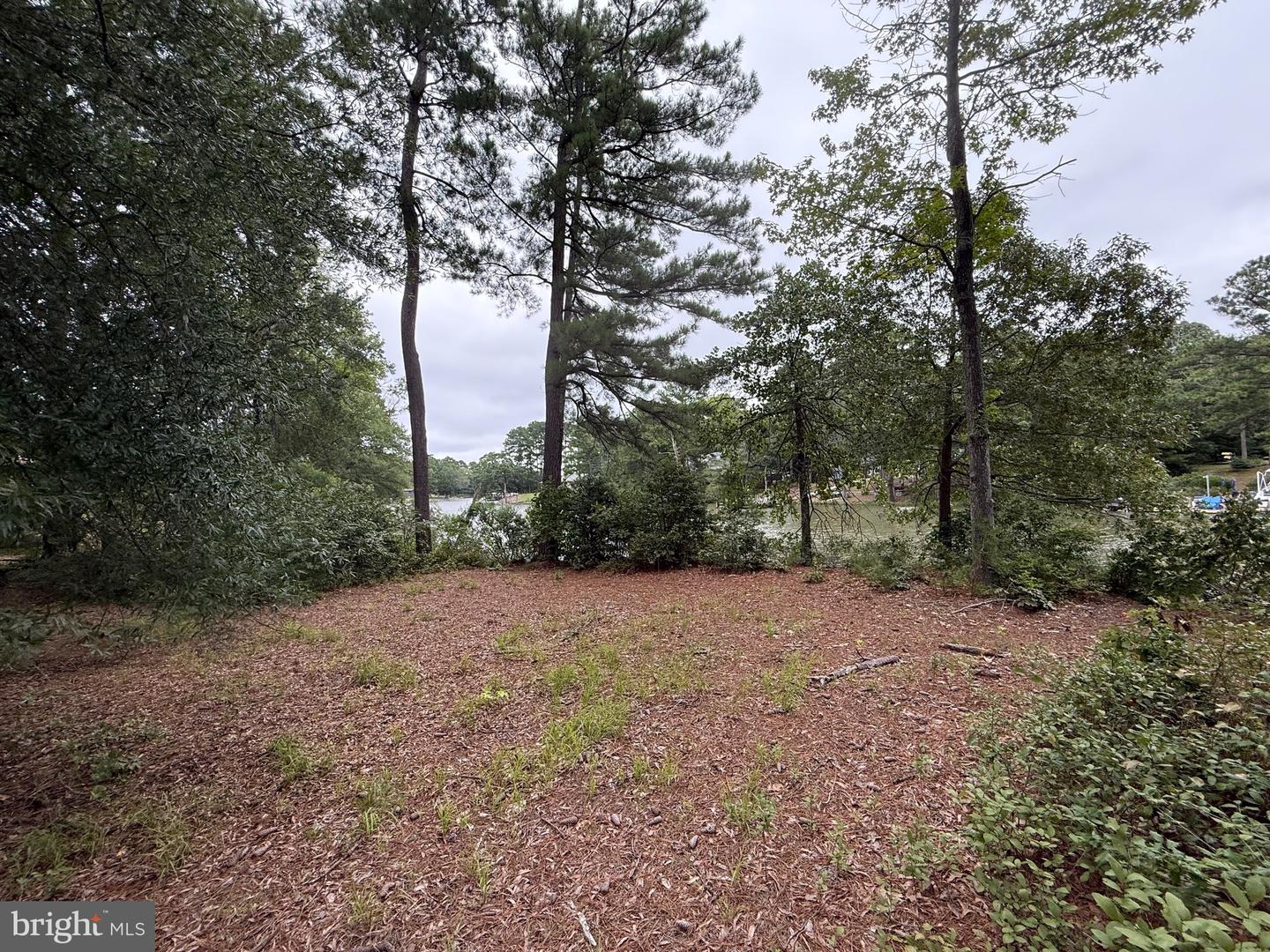 LOT 14 MALLARD CT, MONTROSS, Virginia 22520, ,Land,For sale,LOT 14 MALLARD CT,VAWE2009608 MLS # VAWE2009608