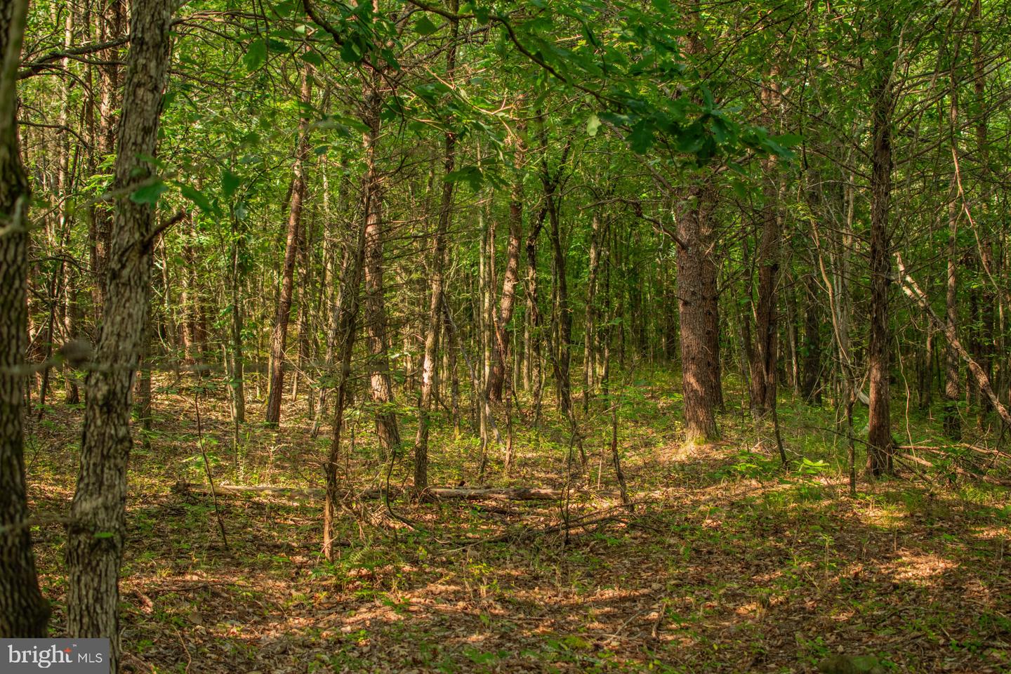 0 LEDA ROAD, NATHALIE, Virginia 24577, ,Land,For sale,0 LEDA ROAD,VAHX2000126 MLS # VAHX2000126
