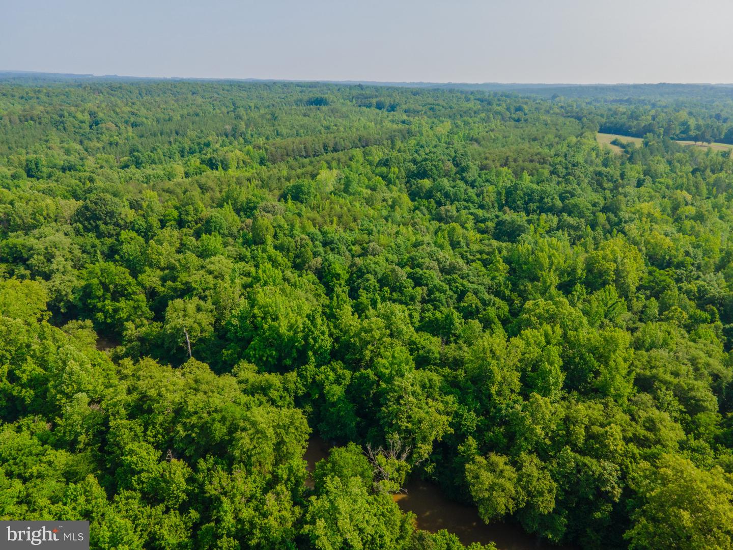 0 LEDA ROAD, NATHALIE, Virginia 24577, ,Land,For sale,0 LEDA ROAD,VAHX2000126 MLS # VAHX2000126