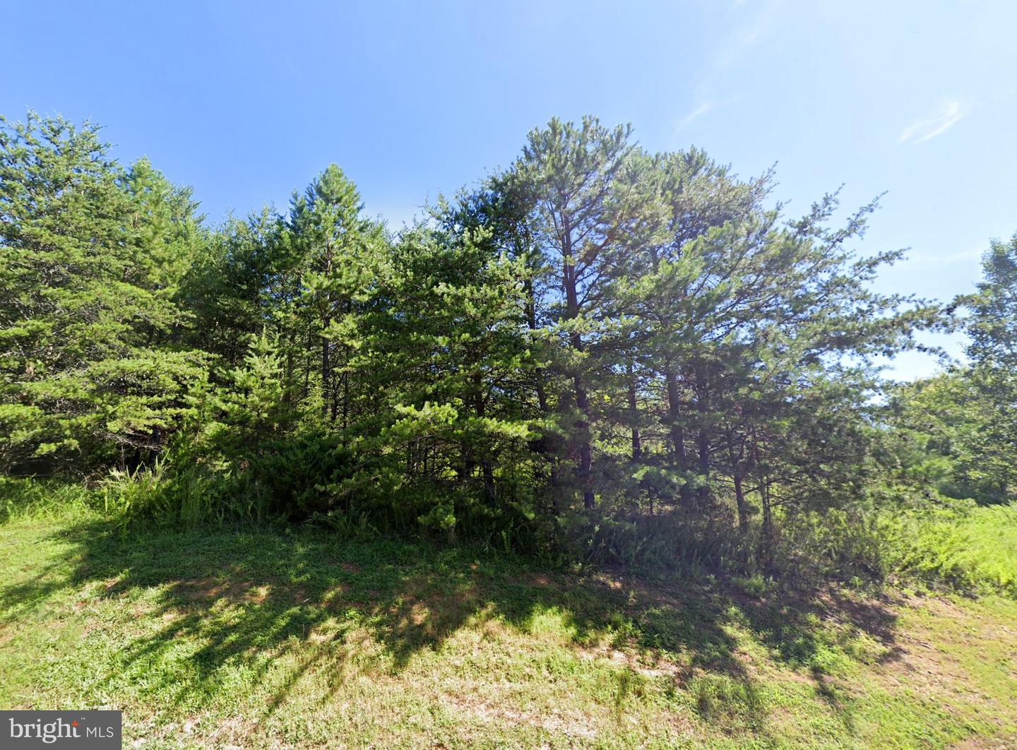 00 CLEAR POINTE RD, LYNCH STATION, Virginia 24571, ,Land,For sale,00 CLEAR POINTE RD,VACP2000102 MLS # VACP2000102