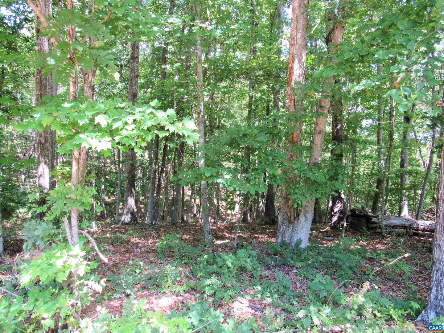 0 JAMES RIVER RD, WINGINA, Virginia 24599, ,Land,For sale,0 JAMES RIVER RD,668219 MLS # 668219