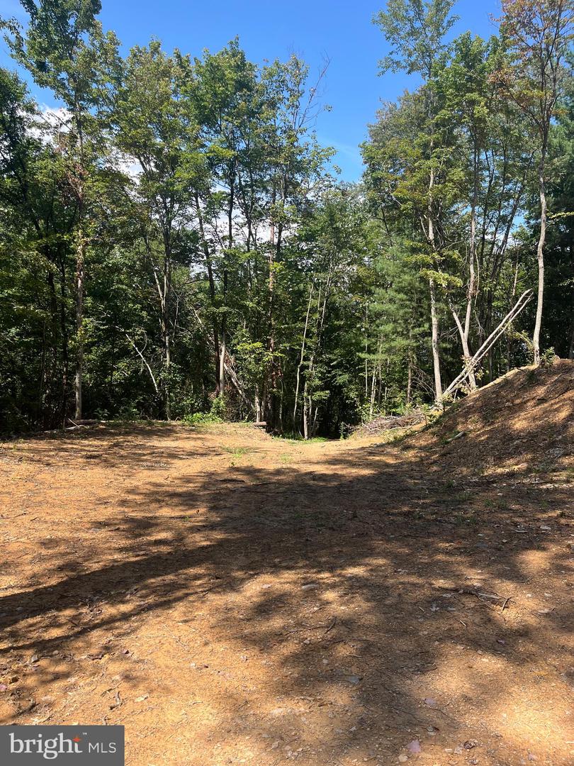 TBD DRY CREEK RD, LURAY, Virginia 22835, ,Land,For sale,TBD DRY CREEK RD,VAPA2005290 MLS # VAPA2005290