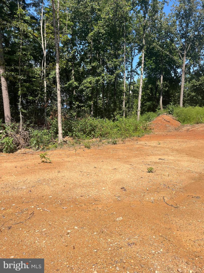 TBD DRY CREEK RD, LURAY, Virginia 22835, ,Land,For sale,TBD DRY CREEK RD,VAPA2005290 MLS # VAPA2005290