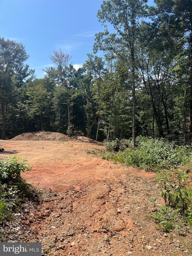 TBD DRY CREEK RD, LURAY, Virginia 22835, ,Land,For sale,TBD DRY CREEK RD,VAPA2005290 MLS # VAPA2005290