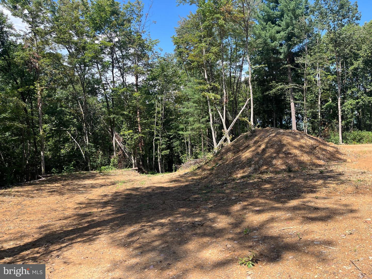 TBD DRY CREEK RD, LURAY, Virginia 22835, ,Land,For sale,TBD DRY CREEK RD,VAPA2005290 MLS # VAPA2005290