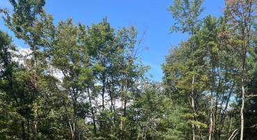 TBD DRY CREEK RD, LURAY, Virginia 22835, ,Land,For sale,TBD DRY CREEK RD,VAPA2005290 MLS # VAPA2005290