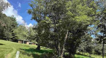 0 TURKEY RIDGE LN, CHARLOTTESVILLE, Virginia 22903, ,Land,For sale,0 TURKEY RIDGE LN,668241 MLS # 668241